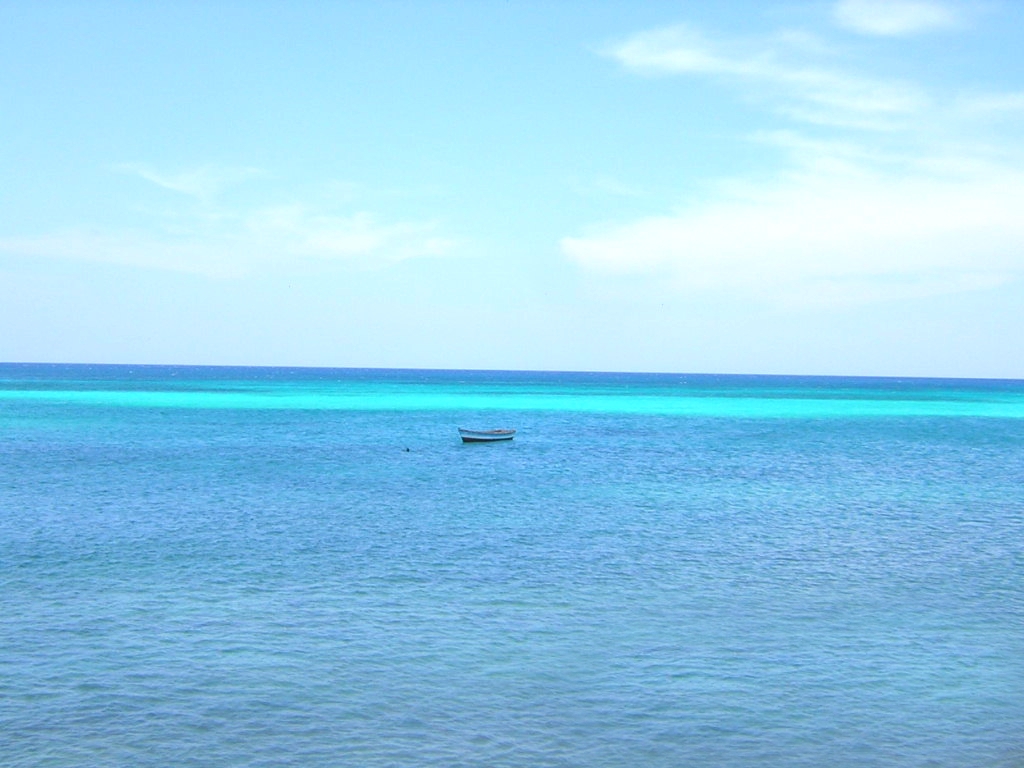 Ral azules